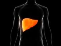 Fatty liver diet