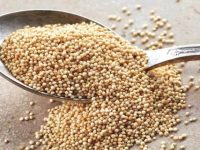 Health Benefits of Amaranth