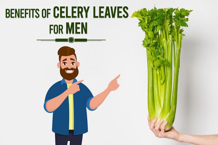 These Are The Benefits Of Consuming Celery For Men