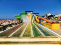 Custom Water Slides