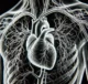 what is Angiography