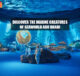 SeaWorld Abu Dhabi