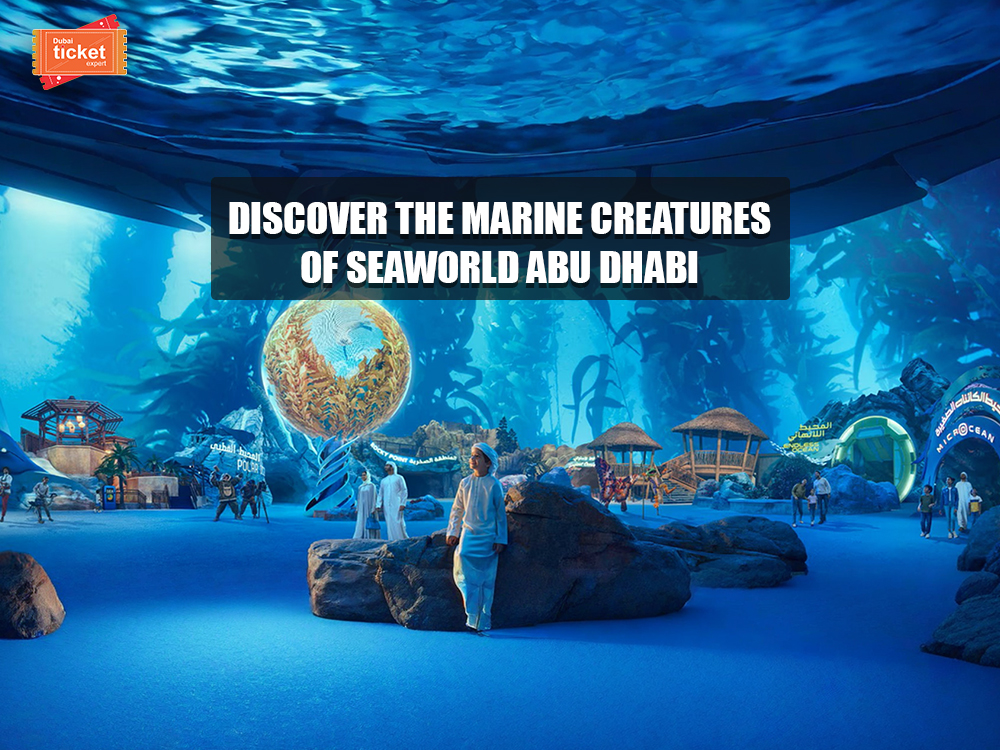 SeaWorld Abu Dhabi